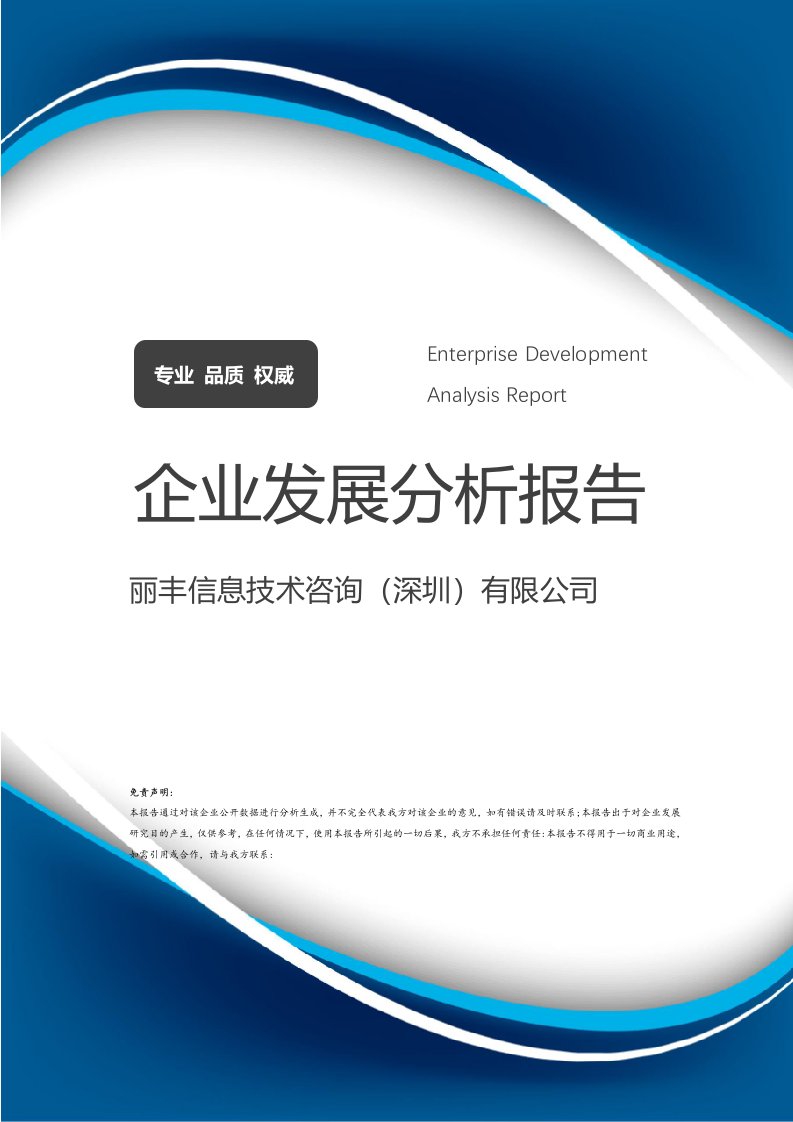 麗豐信息技術(shù)咨詢（深圳）有限公司企業(yè)發(fā)展分析報(bào)告