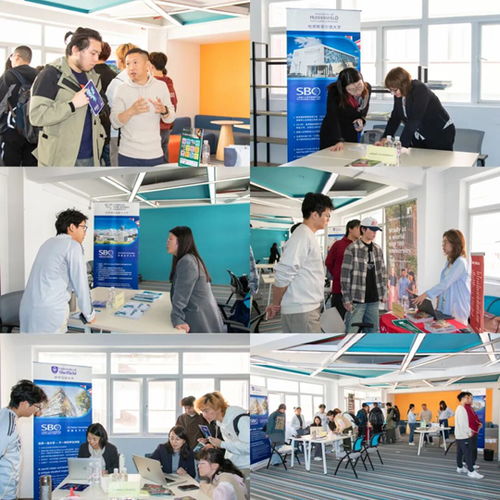 上海理工大學(xué)中英國際學(xué)院舉辦2025年度英國合作大學(xué)秋季咨詢會(huì) 聚焦信息技術(shù)咨詢服務(wù)，規(guī)劃未來留學(xué)之路